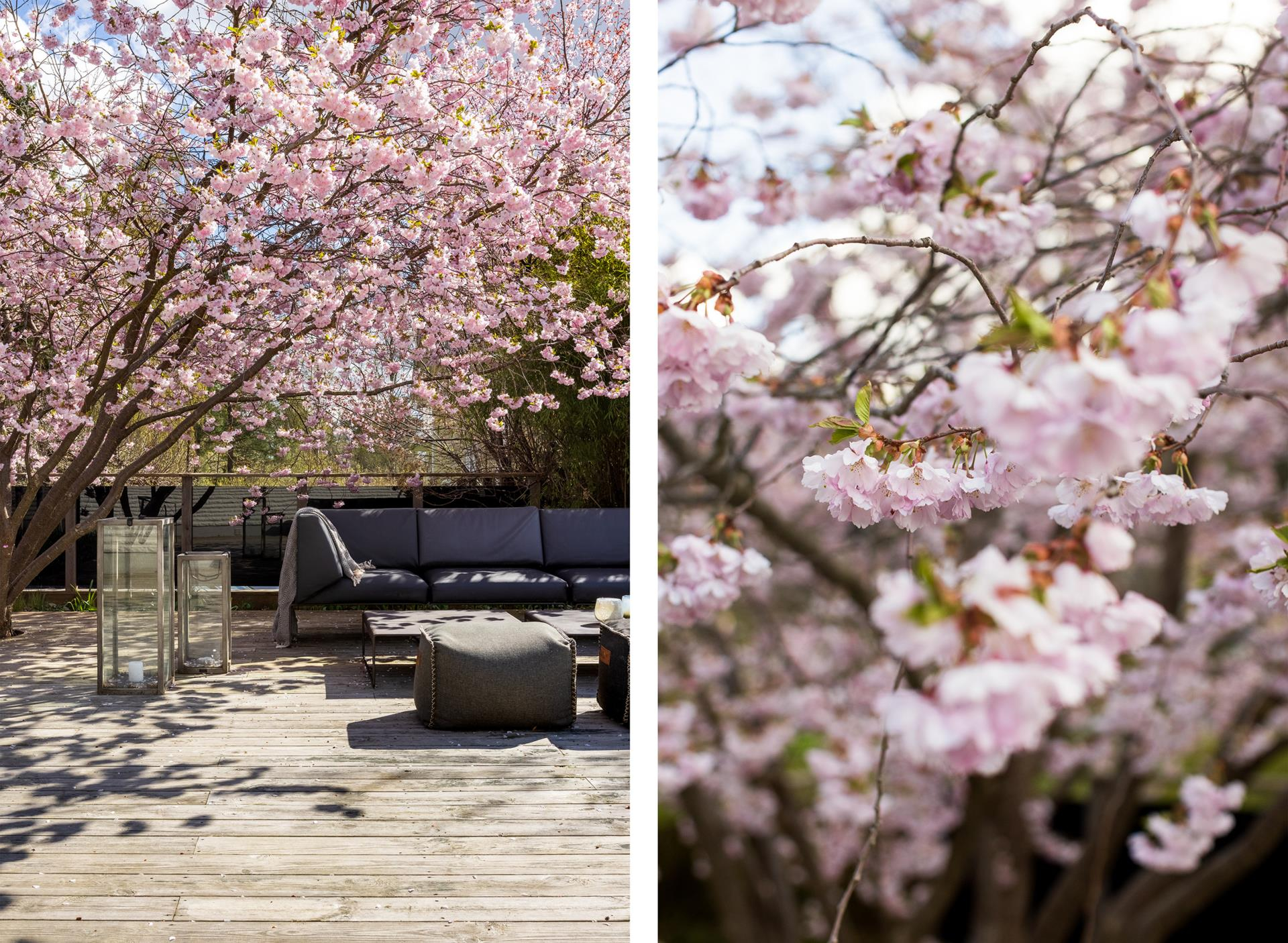 CBILD5L9C37N7HE4CO0QE