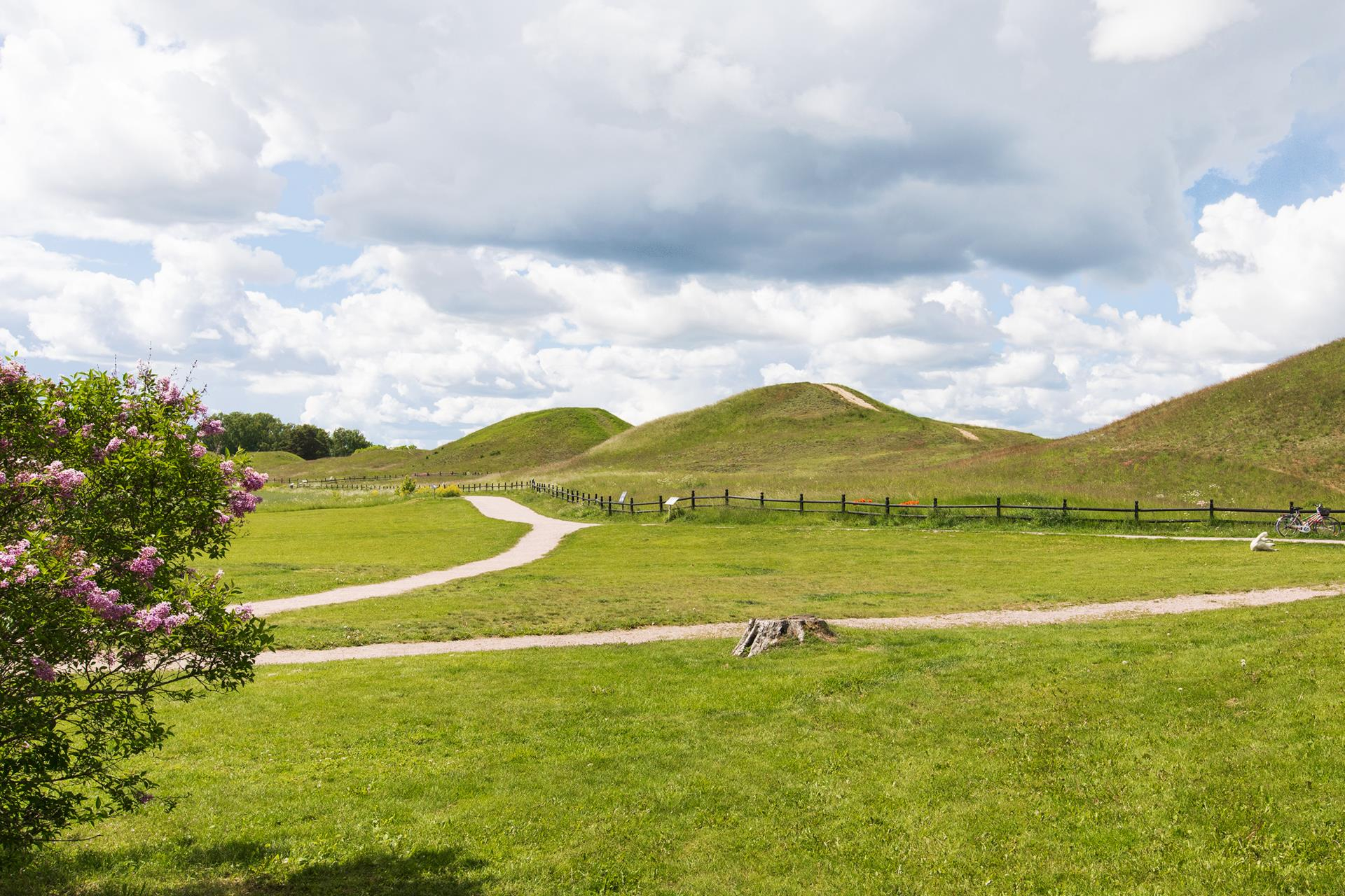 CBILD5O8QGS2CJSU7VBC5