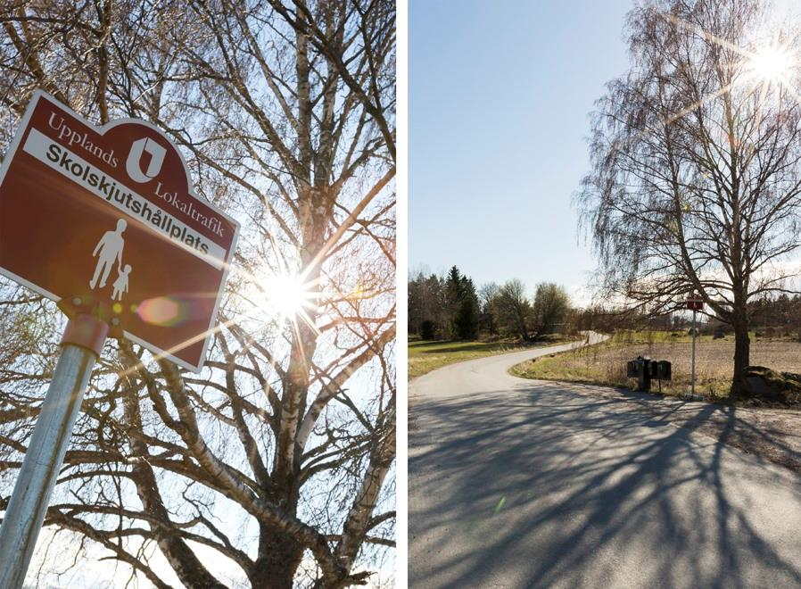 CBILD4944707SGV5Q31KB