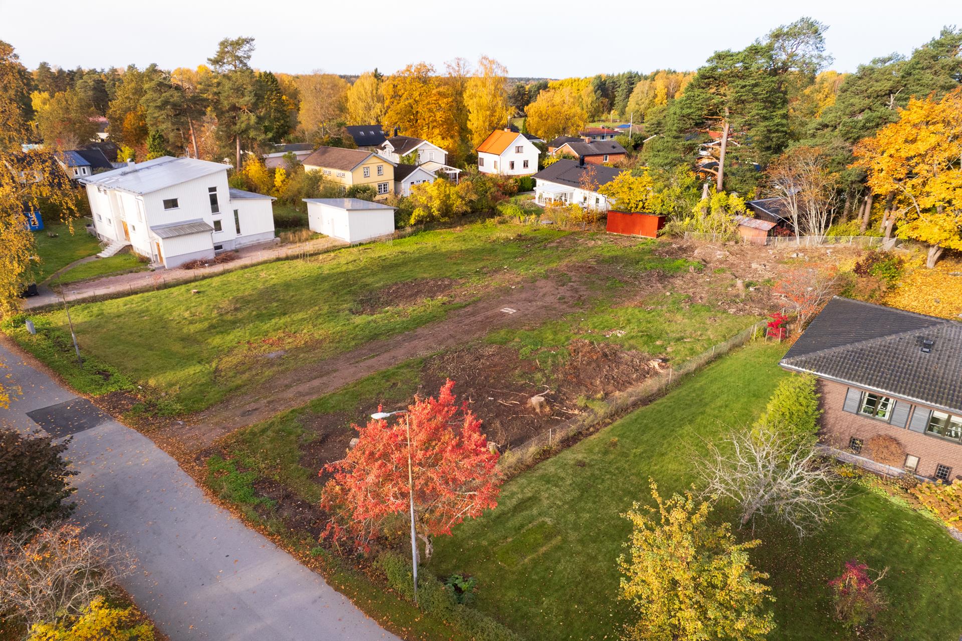 CBILD5MP2LSTDIS549OM6