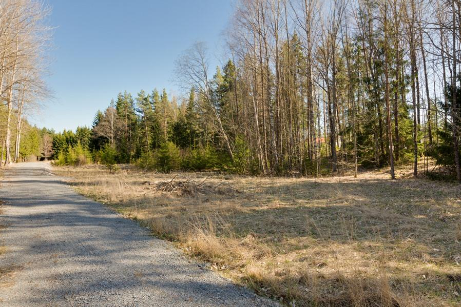 CBILD49446BGNKV5Q3131