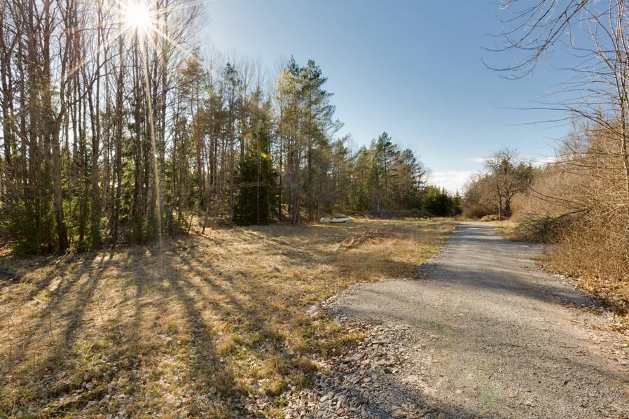 CBILD49446BIPSV5Q3186