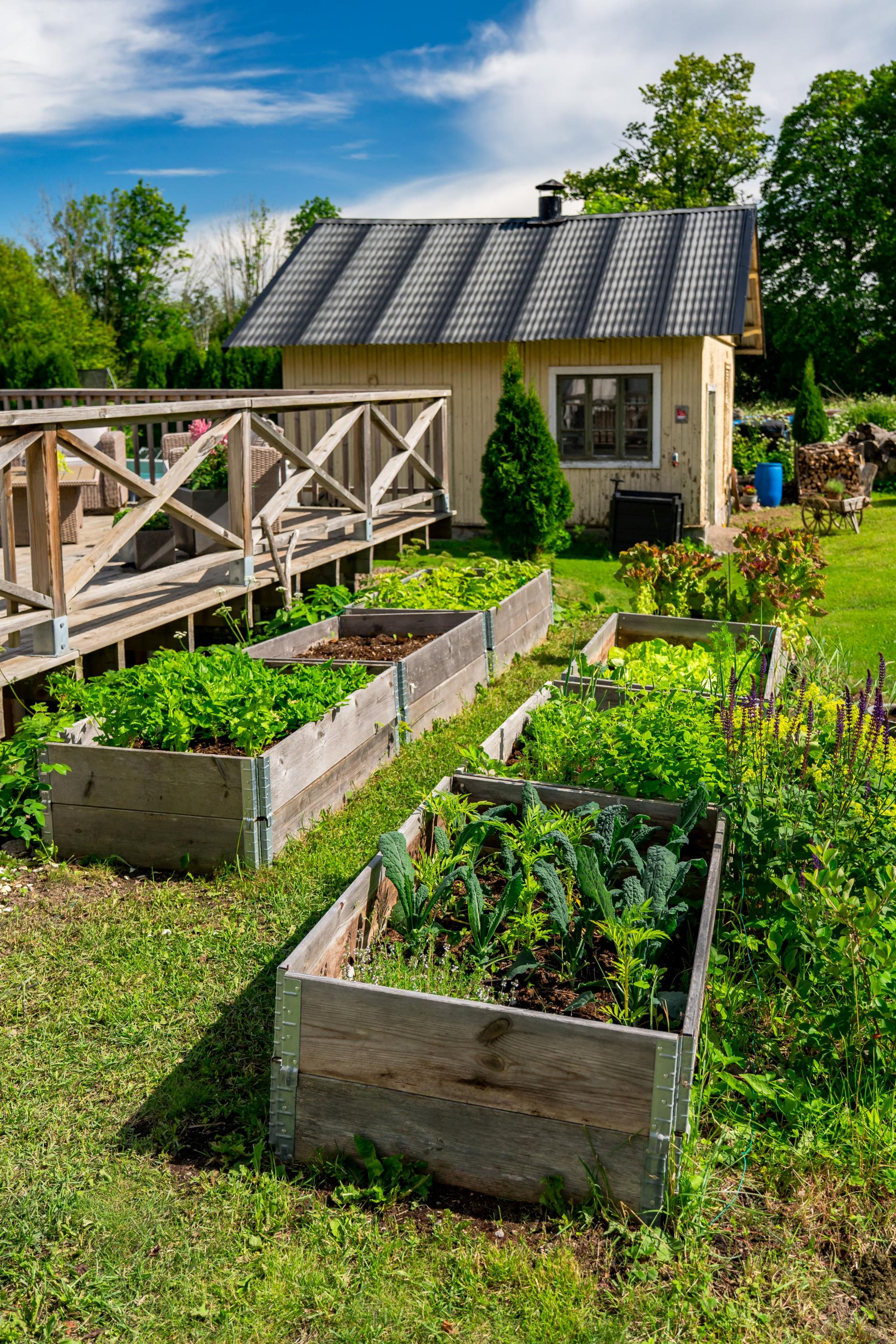 CBILD5O9C07MGJ4HG9NFU